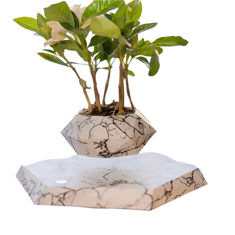 GeoSpin roterende geometriske planteboks Luvikno