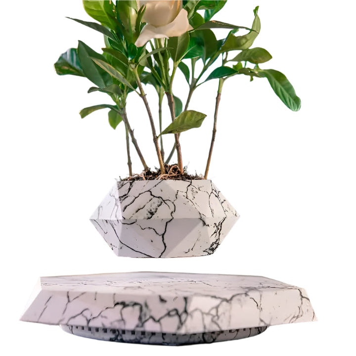 GeoSpin roterende geometriske planteboks Luvikno