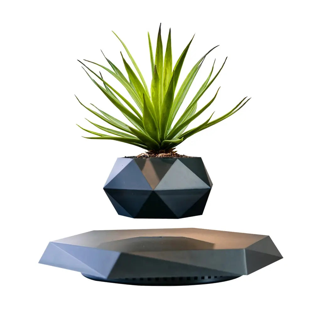 GeoSpin roterende geometriske planteboks Luvikno