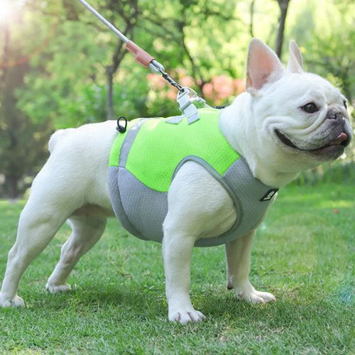 Frenchie Sommer Reflekterende Kjølevest | Luvikno