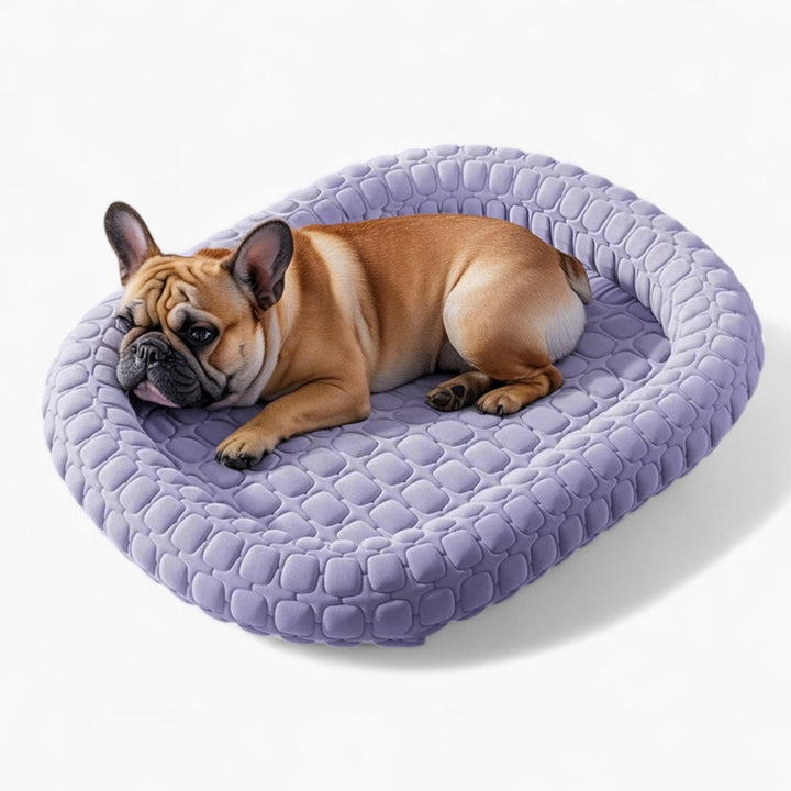 FrostiPad Fransk Bulldog Sommer Seng – Rutsikkert Is Silke Ortopedisk Matte | Luvikno