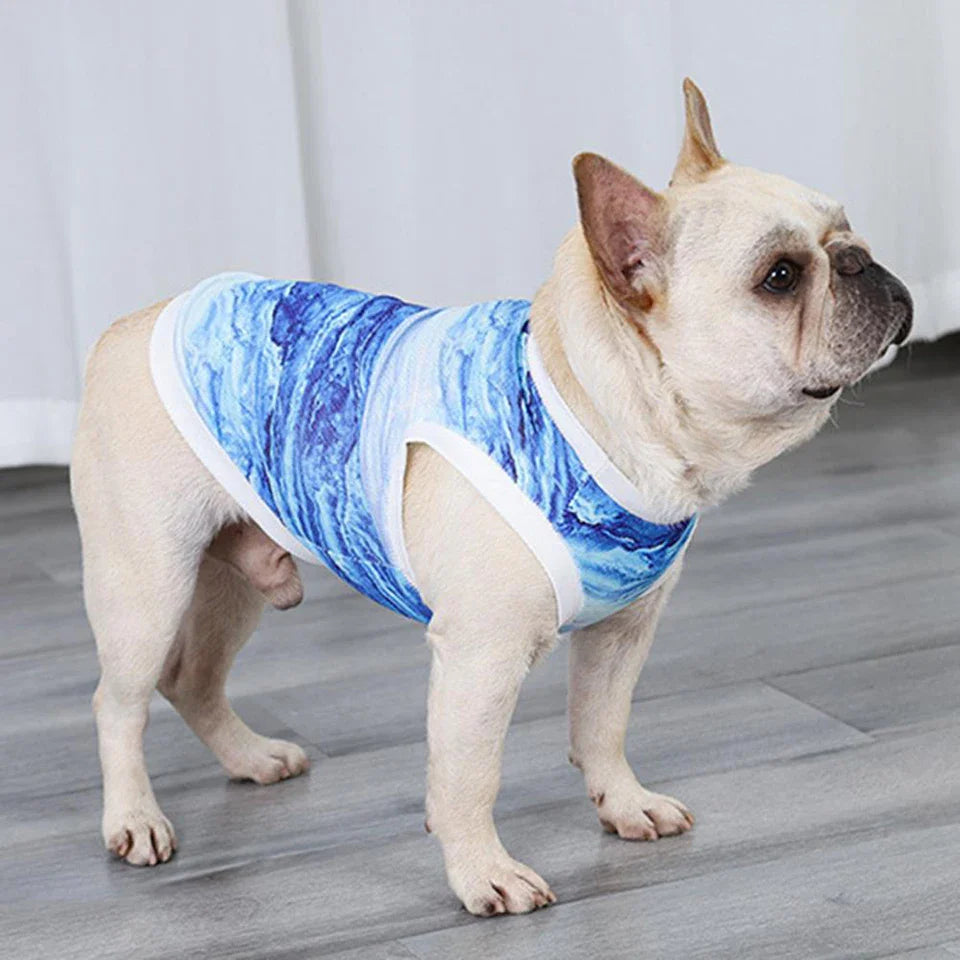 FrostyPet Fransk Bulldog Sommer Kjølevest | Luvikno