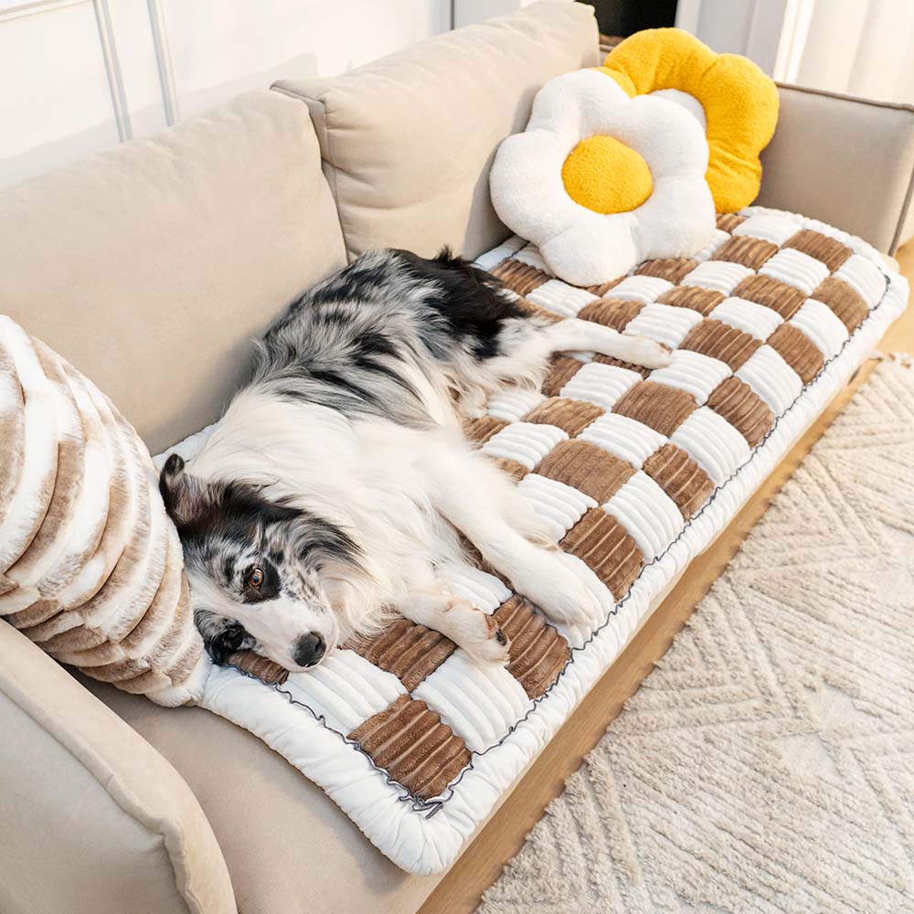 CozyCover – Elegant Teppe for Katt og Menneske Luvikno