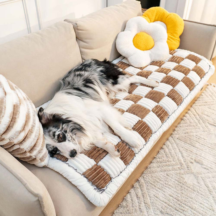CozyCover – Elegant Teppe for Katt og Menneske Luvikno