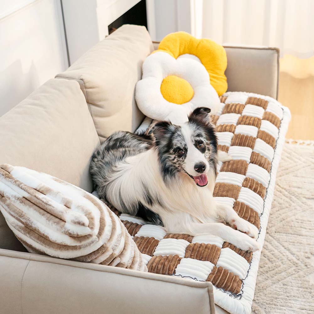 CozyCover – Elegant Teppe for Katt og Menneske Luvikno