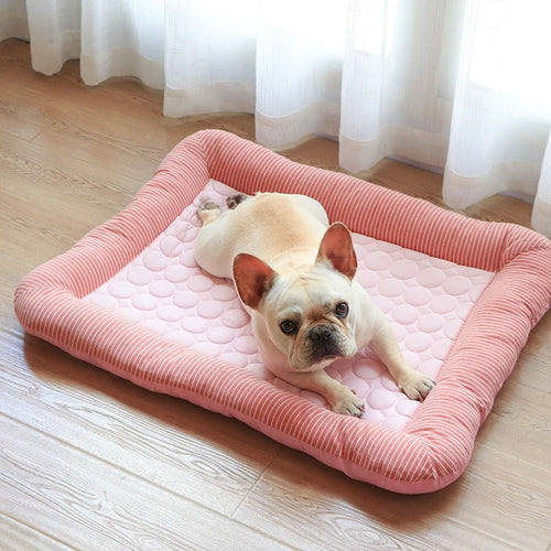 FurChill Frenchie Pustende Hundeseng – Kjølematte med Antiskli Bunn for Varme Dager | Luvikno