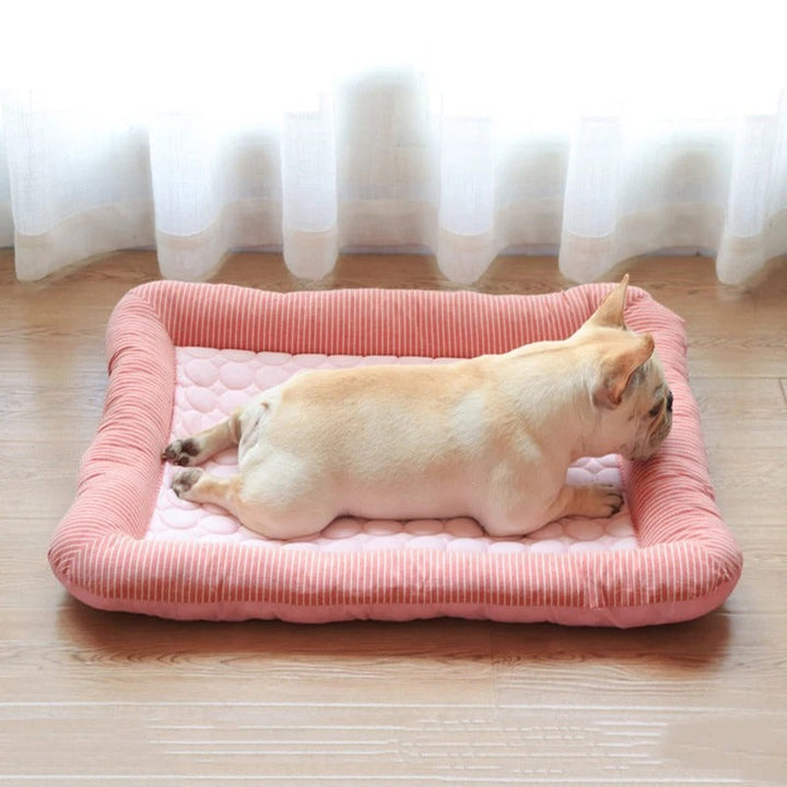 FurChill Frenchie Pustende Hundeseng – Kjølematte med Antiskli Bunn for Varme Dager | Luvikno