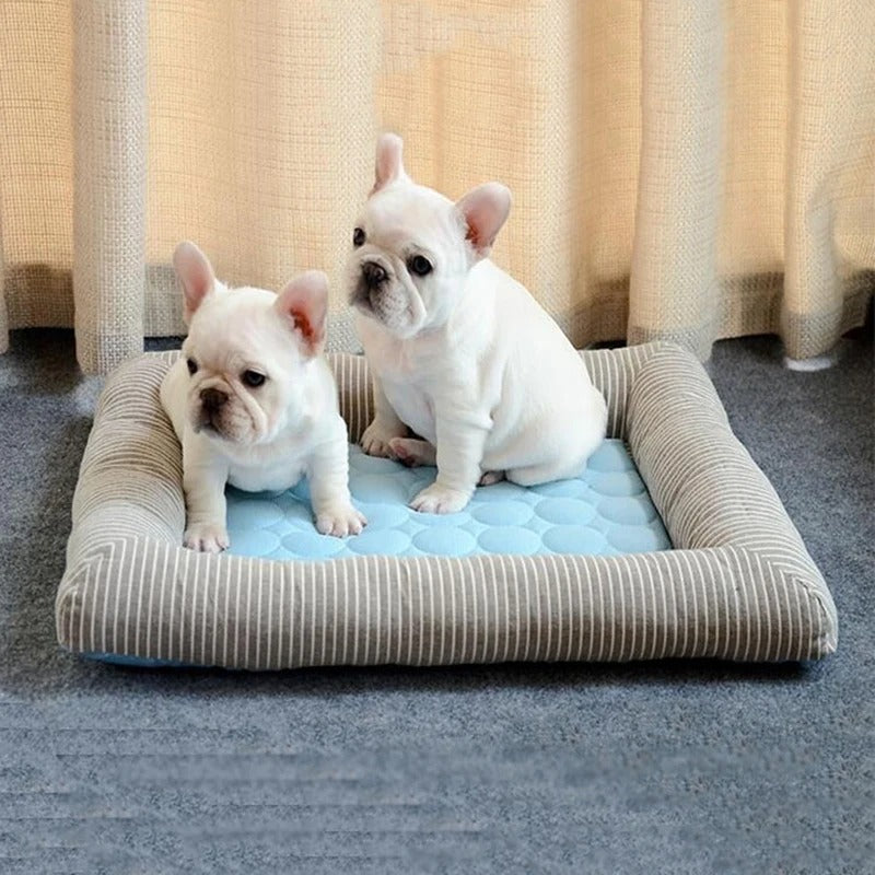 FurChill Frenchie Pustende Hundeseng – Kjølematte med Antiskli Bunn for Varme Dager | Luvikno