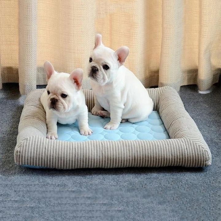 FurChill Frenchie Pustende Hundeseng – Kjølematte med Antiskli Bunn for Varme Dager | Luvikno