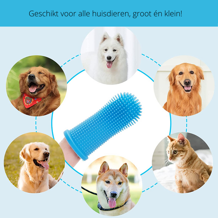 Sikker hunde tannpleie for hjemmet Luvikno
