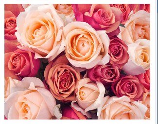 Luvikno | Blomsterportrett (Maler etter tall)