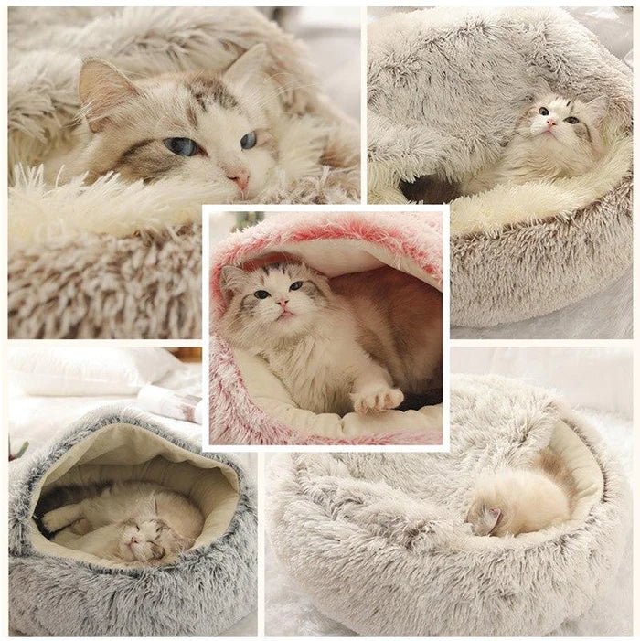 KittyCove Ultimativt komfort for katten din | Luvikno