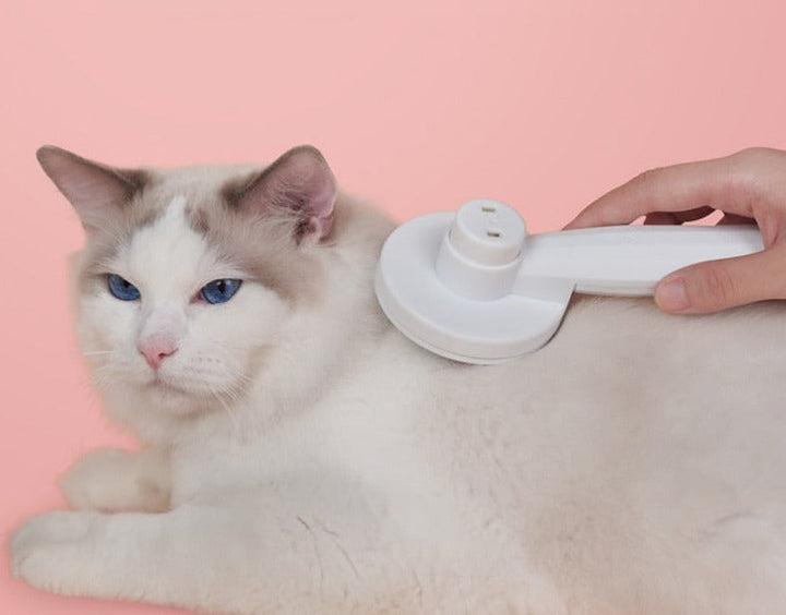 Innovativ kattbørste for grooming Luvikno