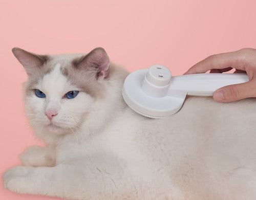 Innovativ kattbørste for grooming Luvikno