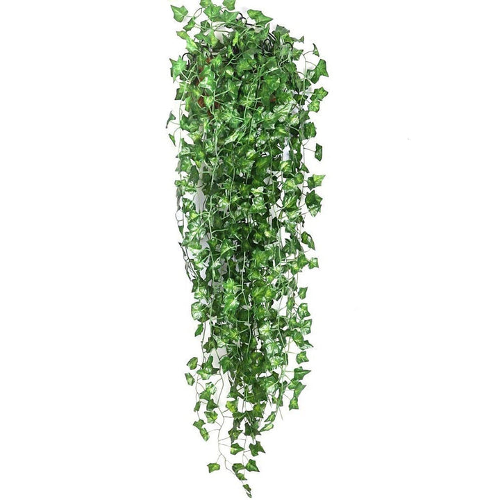 EvergreenGlow – Alltid Grønne Planter for Alle Sesonger Luvikno