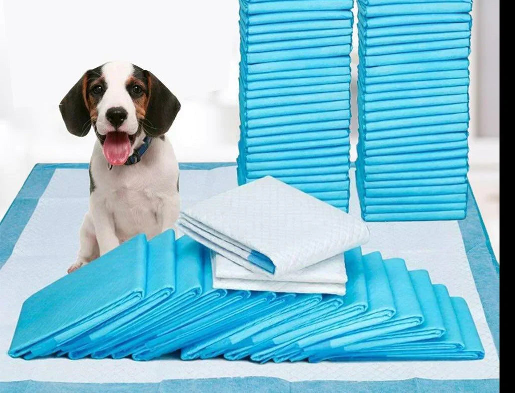 Pet Training Pads - DryPaws Matter Luvikno