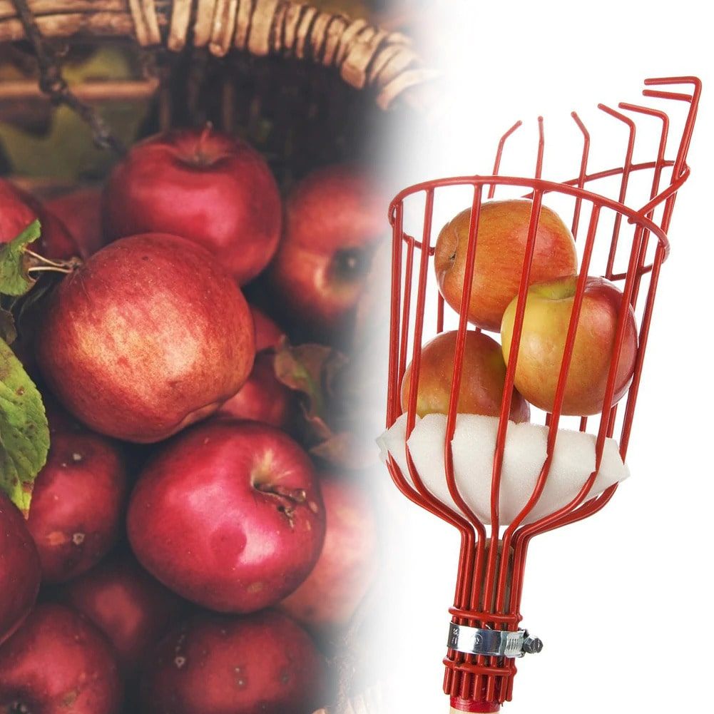 Fruktplukker Verktøy | Luvikno