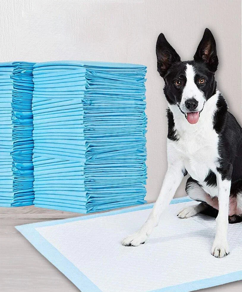 Pet Training Pads - DryPaws Matter Luvikno