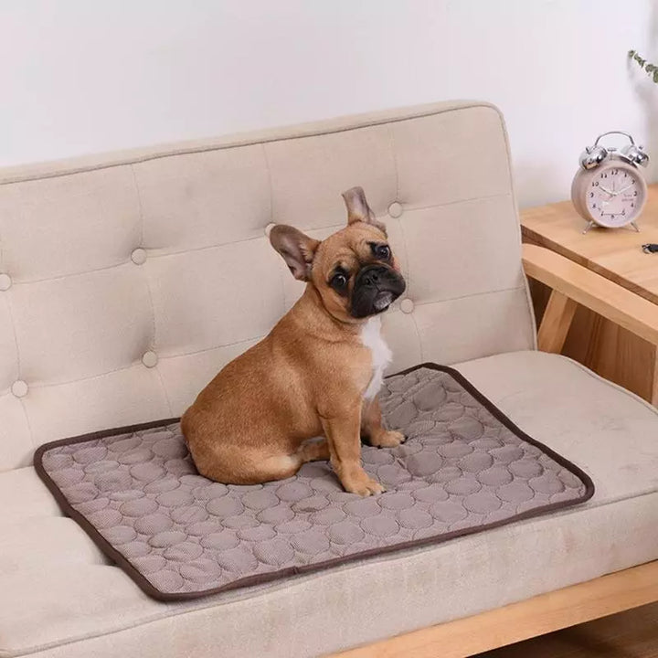 Sommerkjøling hundematte: Pustende pute for hunder og katter - Vaskbar kjæledyrteppe for små, mellomstore og store hunder, ideell for biler | Luvikno
