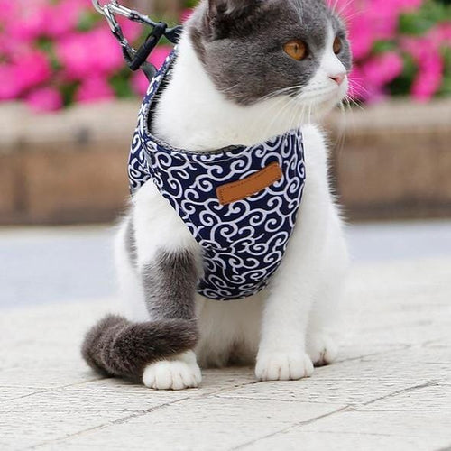 Luvikno | Katt vest sele og båndsett for turer