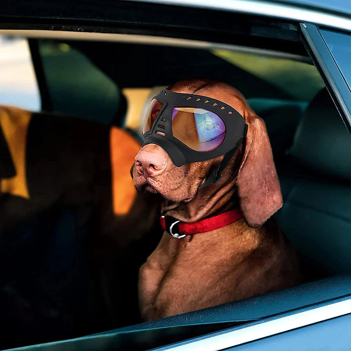 Luvikno Shadow Dog Goggles