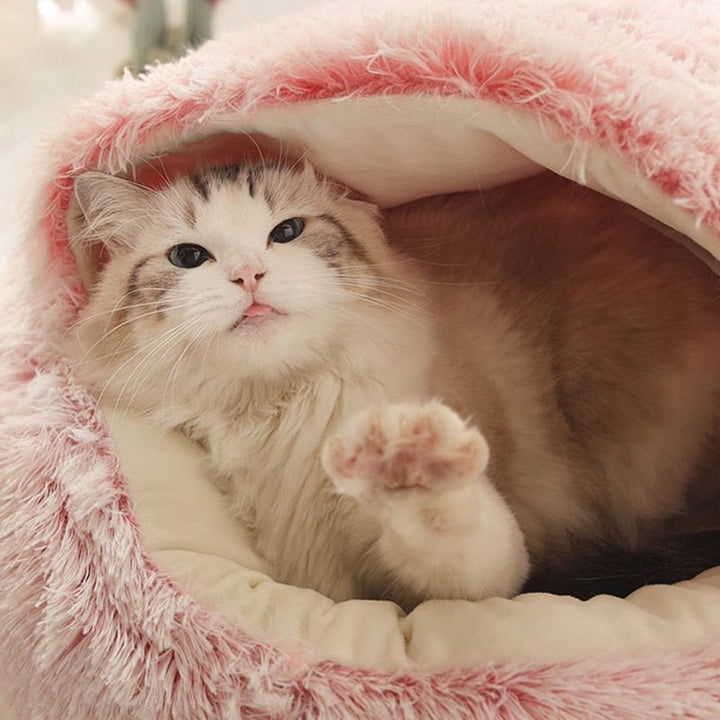 KittyCove Ultimativt komfort for katten din | Luvikno