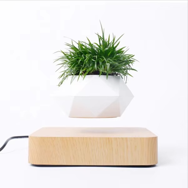 Magnetisk svevende Bonsai Plantekrukke, Flytende Blomsterkrukke for Hjem og Kontor Dekor Luvikno
