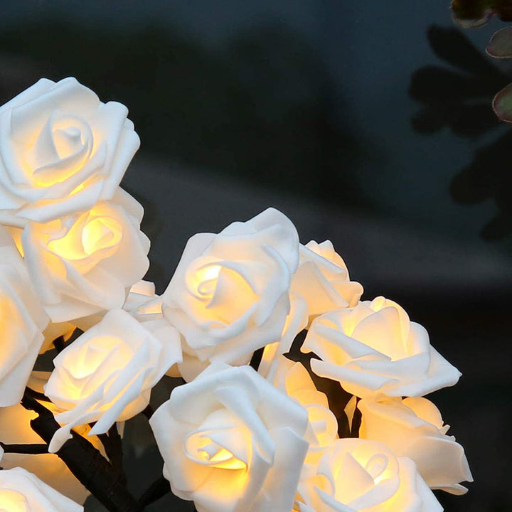 Belyst Rose Tre | LumiRose | Luvikno
