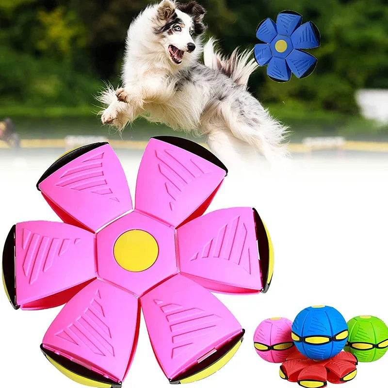 Hundelek Interaktiv Gummiflygende Disk Ball Luvikno