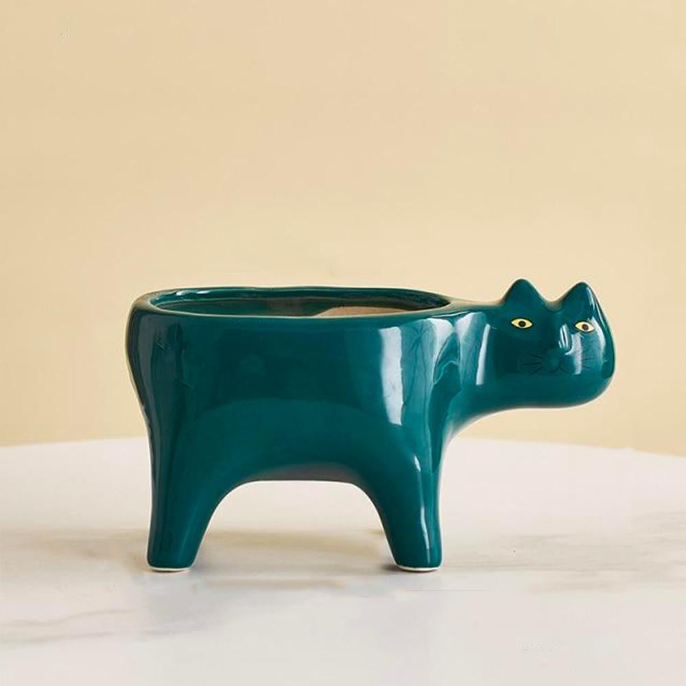 Kat Pot | Luvikno
