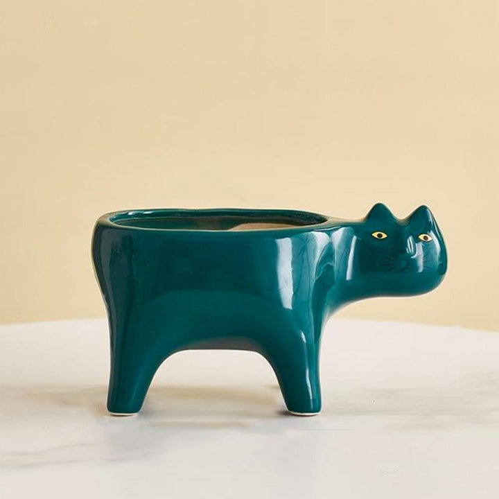 Kat Pot | Luvikno