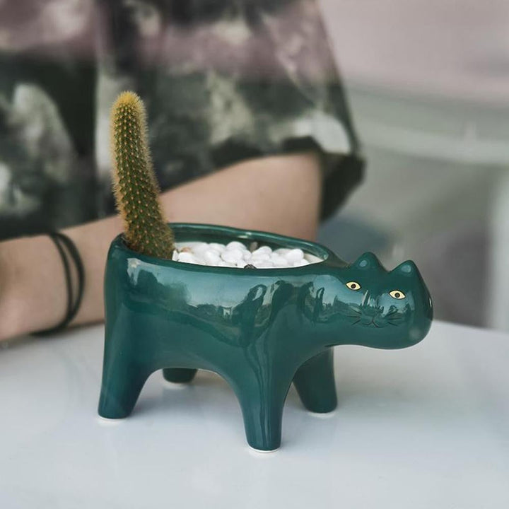 Kat Pot | Luvikno
