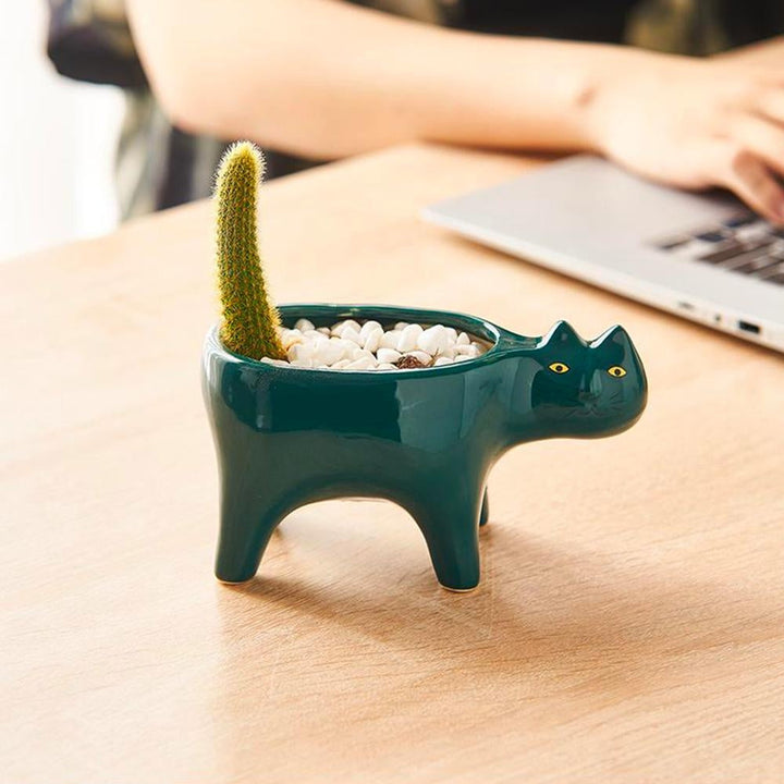 Kat Pot | Luvikno