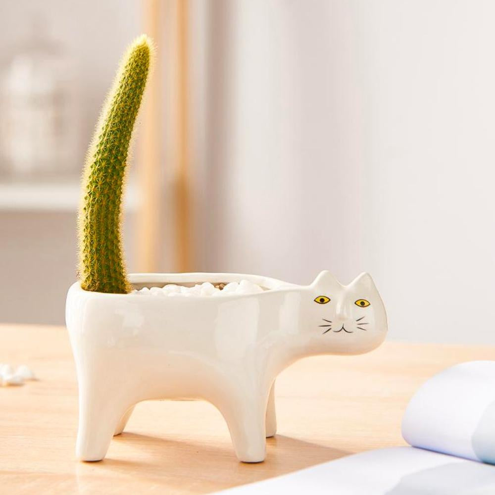 Kat Pot | Luvikno