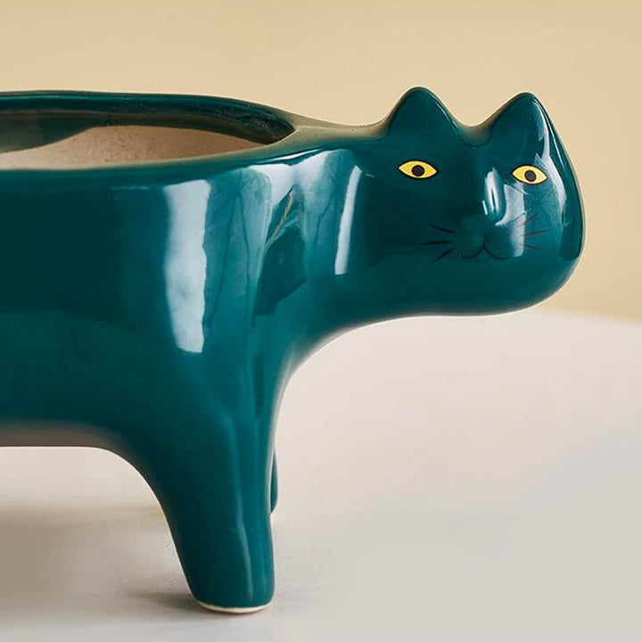 Kat Pot | Luvikno