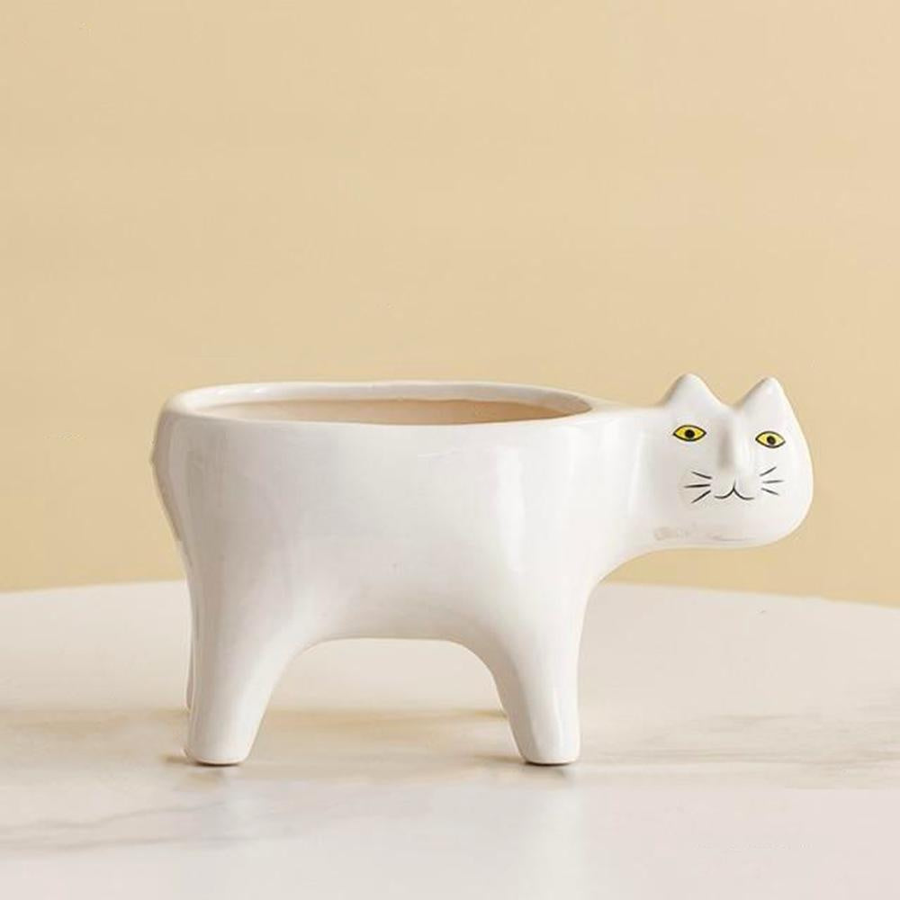 Kat Pot | Luvikno