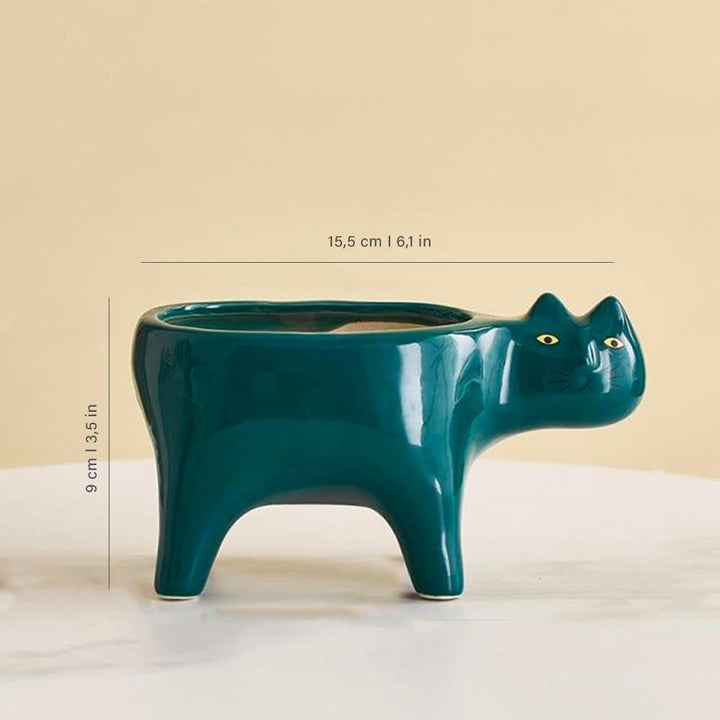 Kat Pot | Luvikno