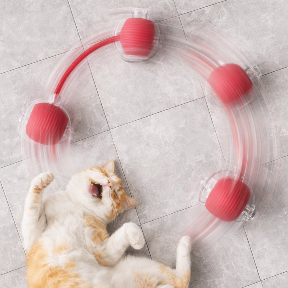 Smart interaktiv kattball med snor | Luvikno