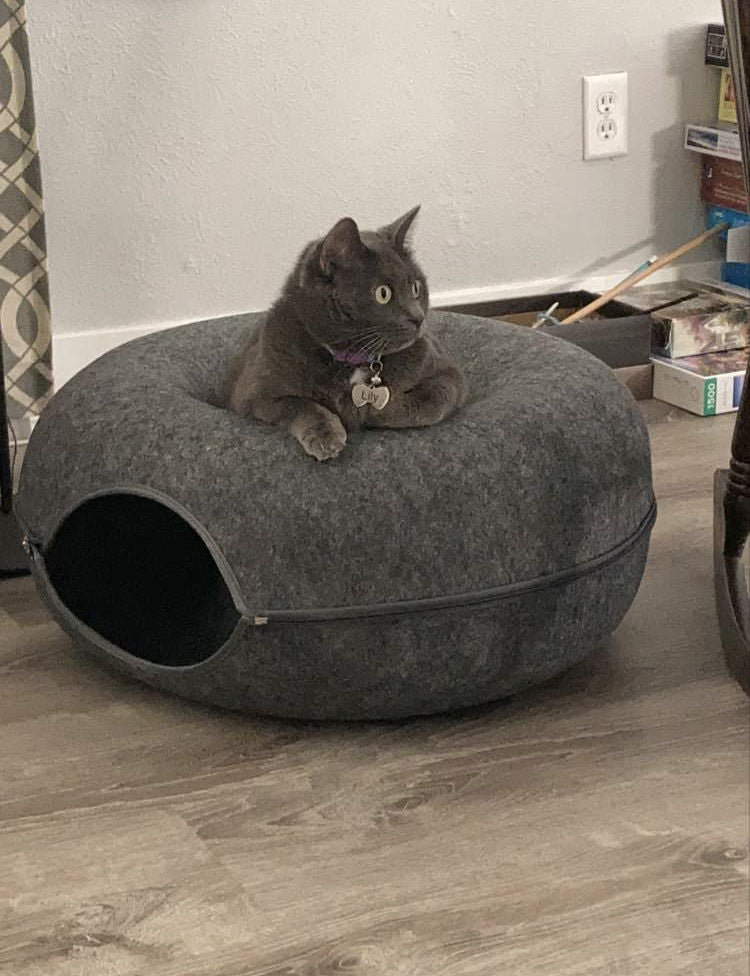 Purrfect Den - Luksus Katte Tunnel med Soveplass Luvikno