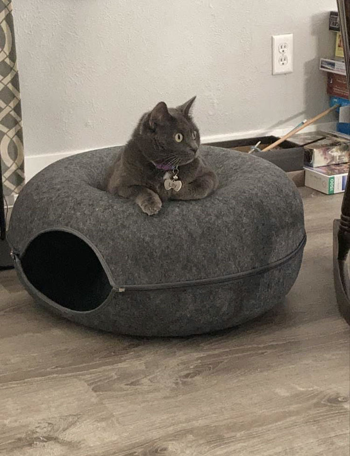 Purrfect Den - Luksus Katte Tunnel med Soveplass Luvikno