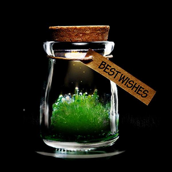 Magic Crystal Growing Jar Kit (Ulike farger og meldinger) | Luvikno