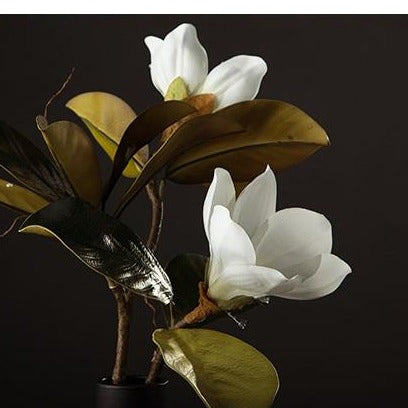 Magnolia Silk Blomst | Luvikno