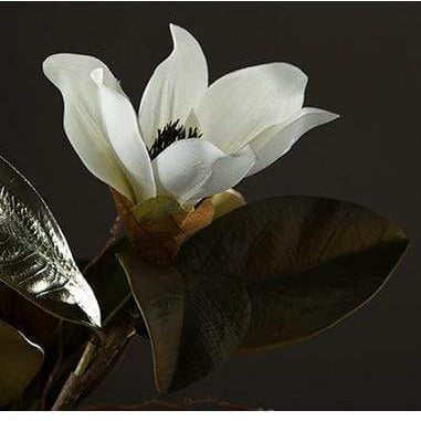 Magnolia Silk Blomst | Luvikno