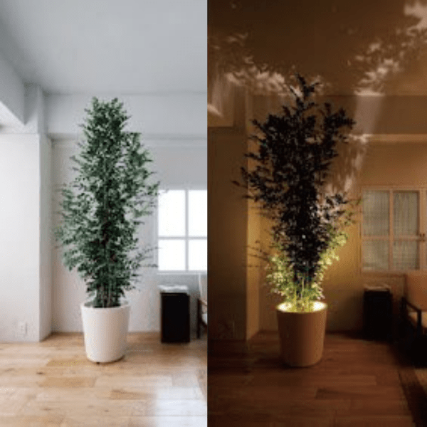 Luvikno | Viva-projektor lampe LED lys kilde Kompakt Design