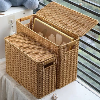 Unisex dekorativ Rattan oppbevaringsboks Luvikno
