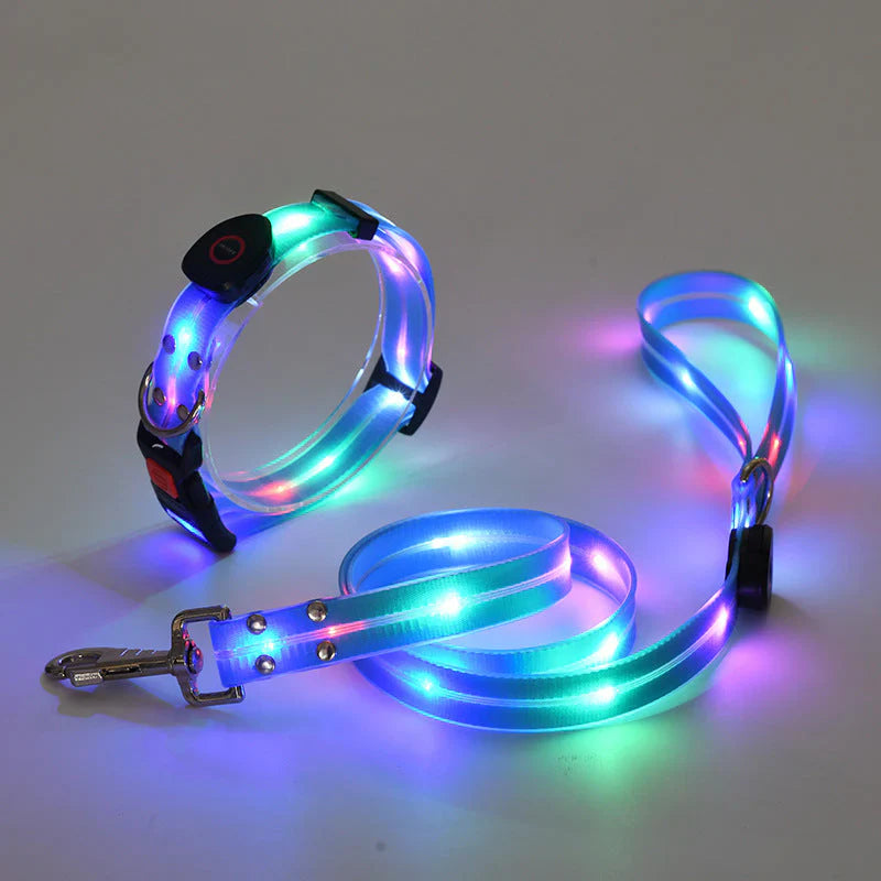 LED Hundehalsbånd med Bånd – NightBright Luvikno