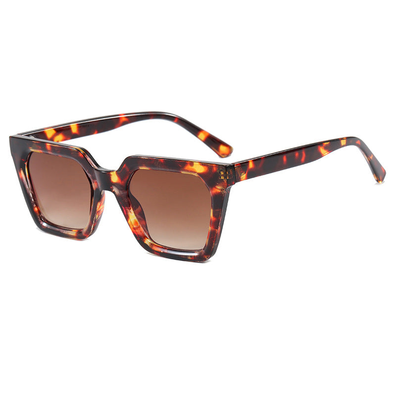 Dame moderne designer-solbrille med transparent ramme Luvikno