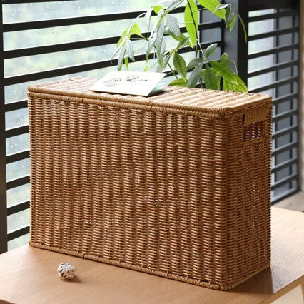 Unisex dekorativ Rattan oppbevaringsboks Luvikno