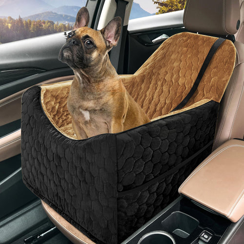 Damer Hund Seter Luvikno