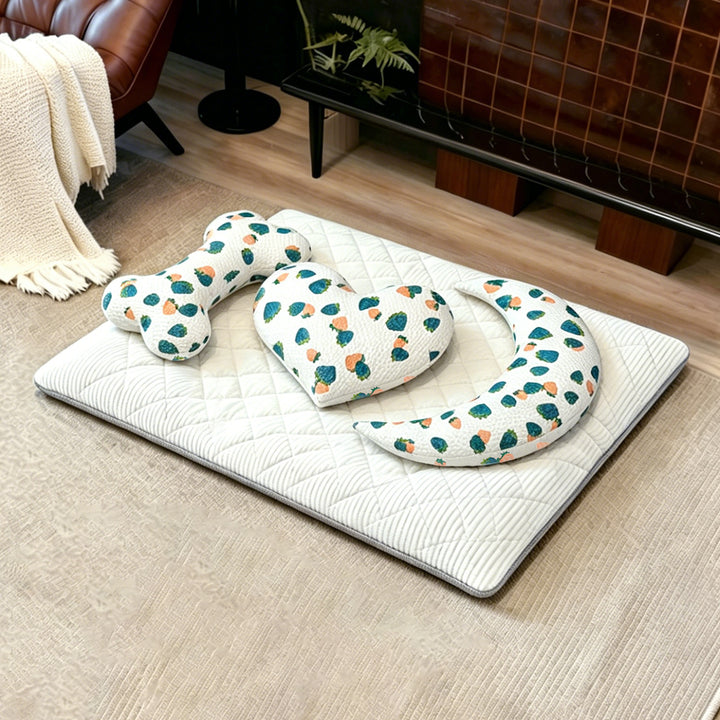 Katt bed Luvikno